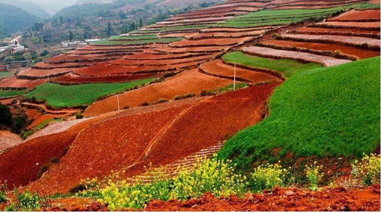 中國土壤幾病癥，該如何管理土壤？