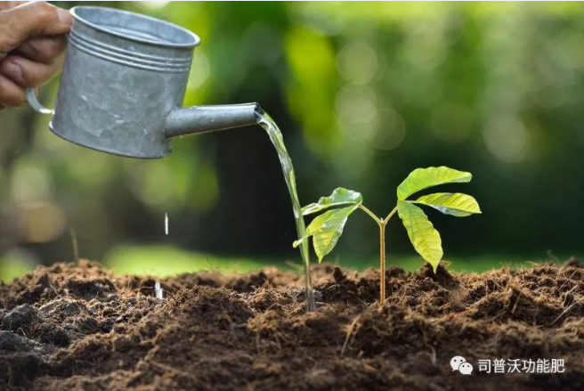 如何識別土壤酸堿性？6招讓你成為判斷高手！