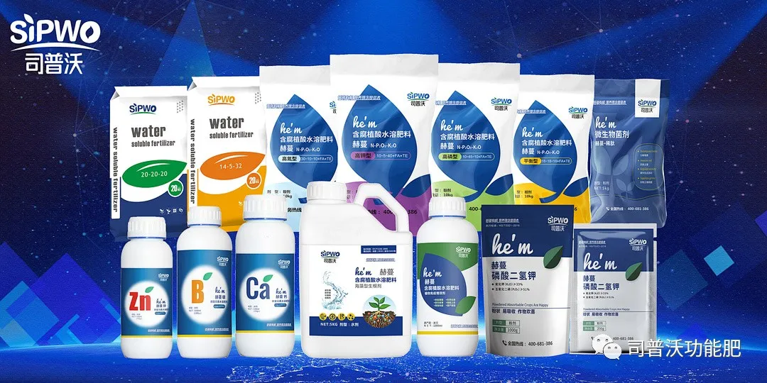 柑橘出現(xiàn)太陽(yáng)果怎么辦！如何全面防灼防裂？