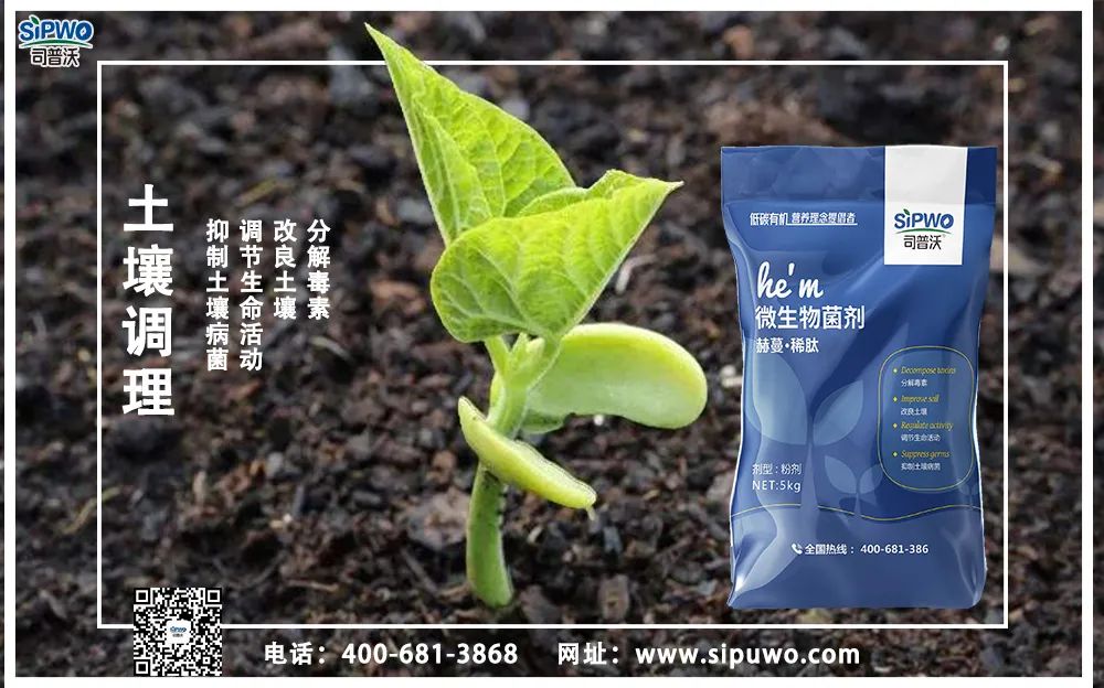 【農(nóng)技知識】土壤出問題了，肥料用再多也別想增產(chǎn)！