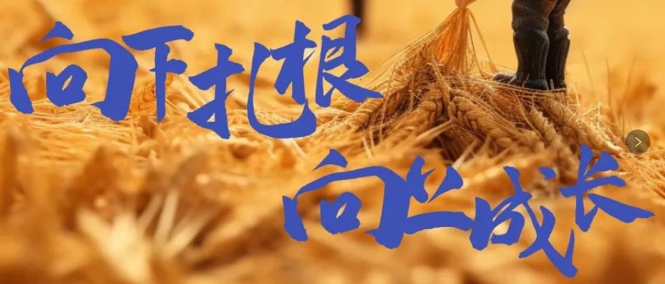 向下扎根，向上成長(zhǎng)，司普沃6月市場(chǎng)服務(wù)一線效果反饋