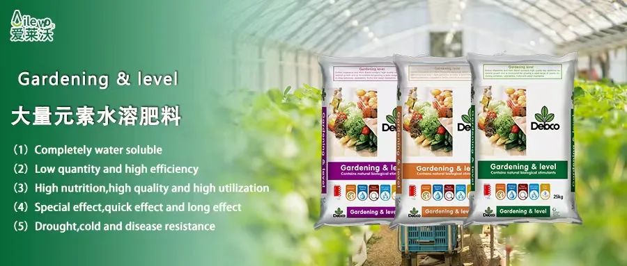 愛(ài)萊沃意大利原包進(jìn)口大量元素水溶肥料|世界品質(zhì)，火爆“炸市”