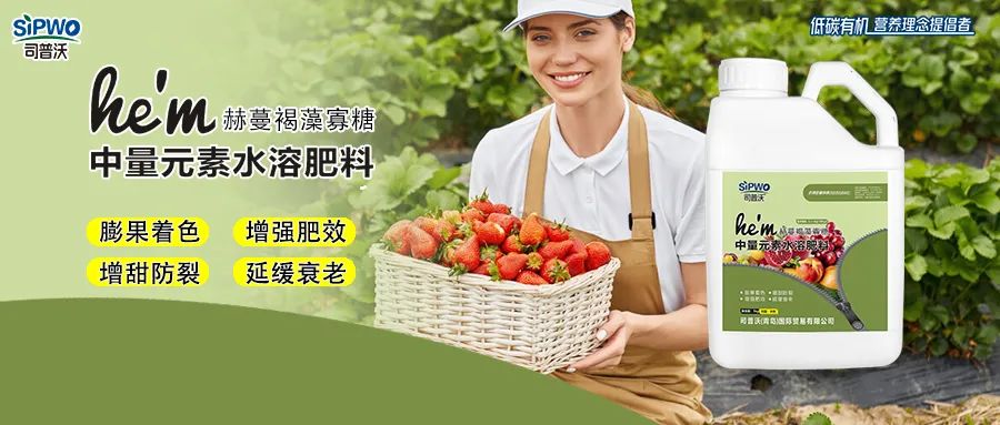 褐藻寡糖--中量元素水溶肥|膨果著色、增強(qiáng)肥效、增甜防裂、延緩衰老