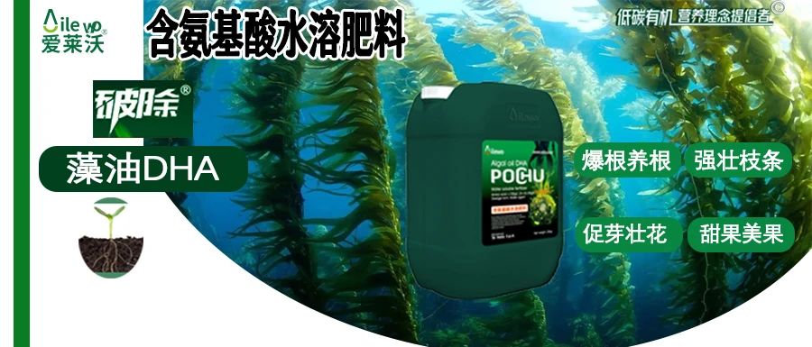 愛萊沃·破除藻油DHA|爆根養(yǎng)根、強(qiáng)壯枝條、促芽壯花、甜果美果