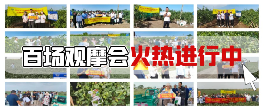 司普沃盛啟百場(chǎng)觀摩會(huì)，**檢驗(yàn)產(chǎn)品熱潮正當(dāng)時(shí)