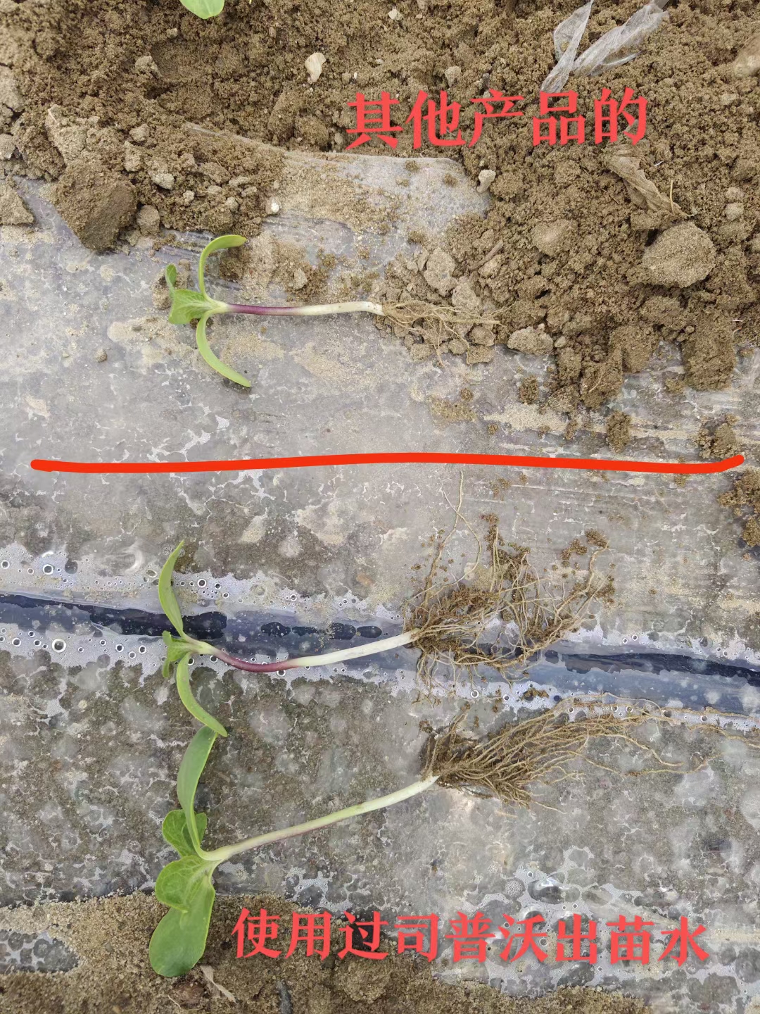 種地也有“秘密武器”？司普沃三活三抗套餐來(lái)揭秘！