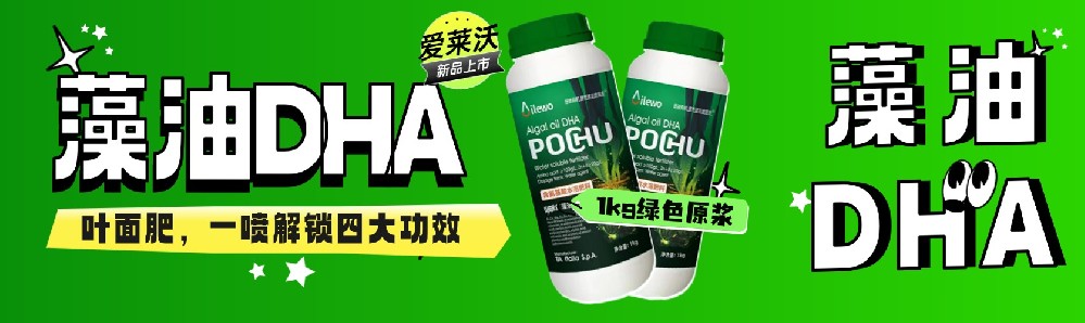 愛(ài)萊沃藻油DHA葉面肥**上市：1kg綠色原漿，一噴解鎖四大功效